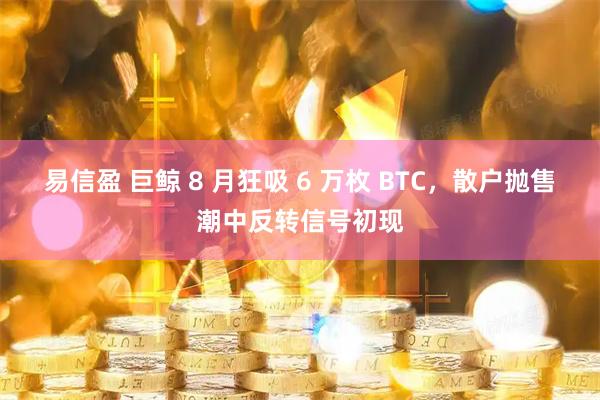 易信盈 巨鲸 8 月狂吸 6 万枚 BTC，散户抛售潮中反转信号初现